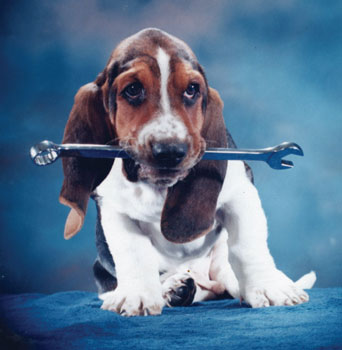 Dog with a wrench | Bassitt Auto Co